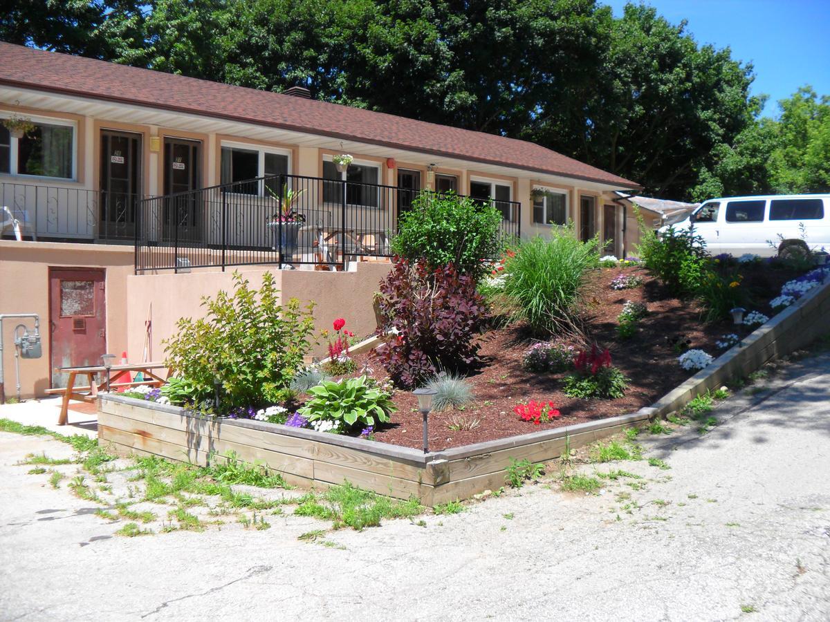 Forest Plaza Motel Mount Forest Dış mekan fotoğraf
