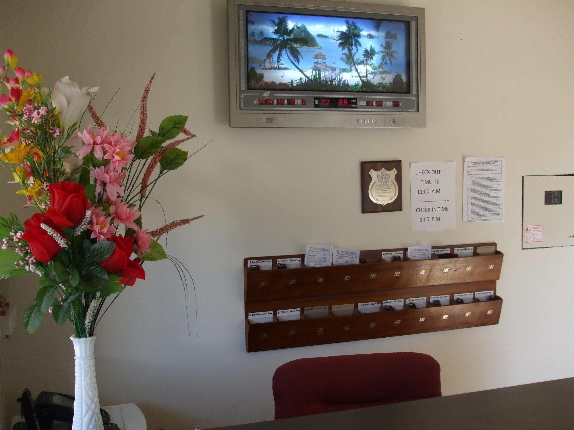 Forest Plaza Motel Mount Forest Dış mekan fotoğraf